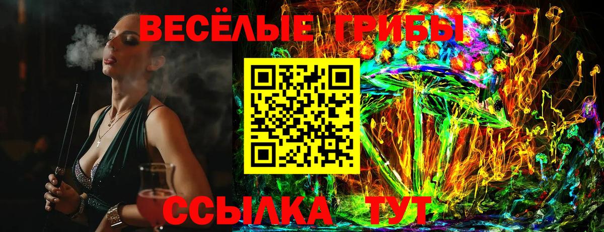 Новороссийск  Галлюциногенные грибы ЛСД  Вход с VPN 